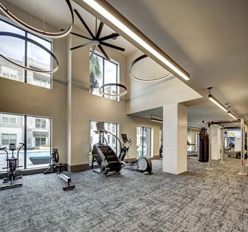 A gym with a variety of equipment including treadmills, stationary bikes, and weight machines at Arise Riverside Apartments, Texas 78741